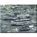 Granite